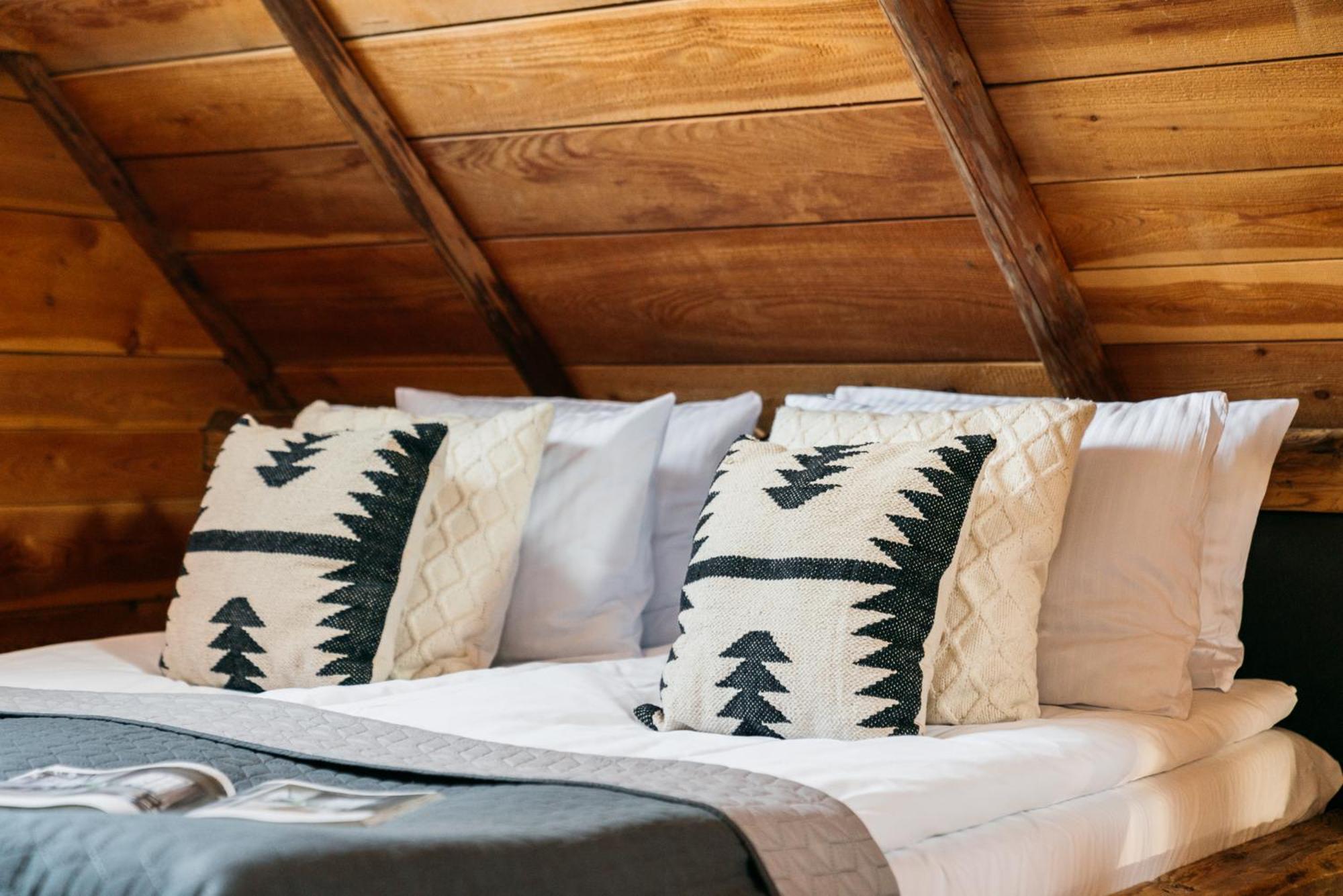 Mountain Shelter Chalet Zakopane